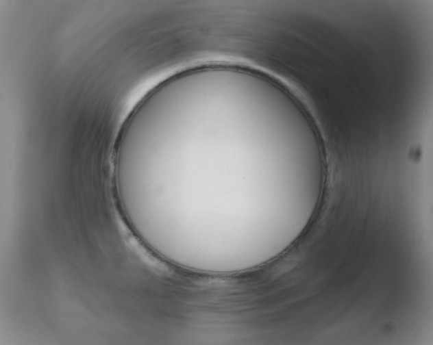 X0000110761287200906150921