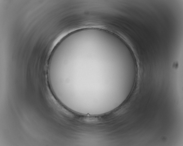 X0000110761291200906150921