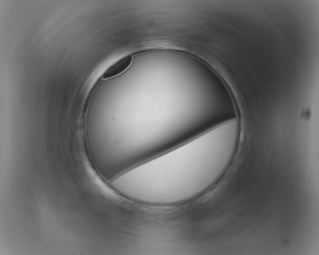 X0000110761293200906150921