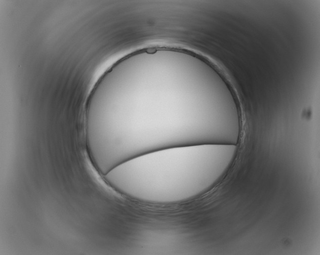 X0000110761295200906150921