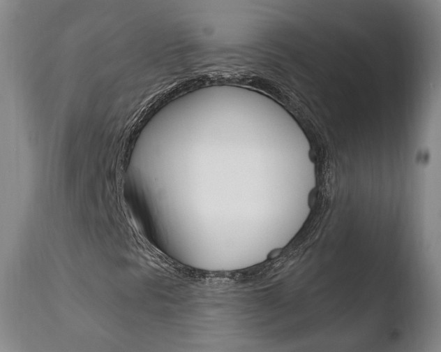 X0000110761297200906150920