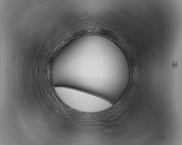 X0000110761298200906150920