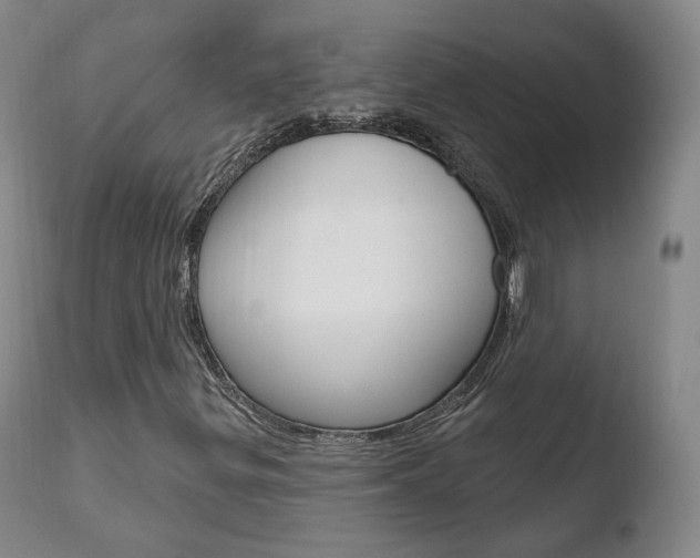 X0000110761299200906150920