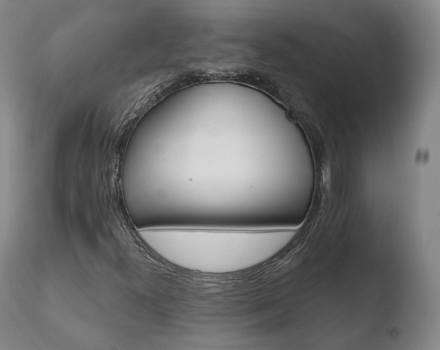 X0000110761300200906150920