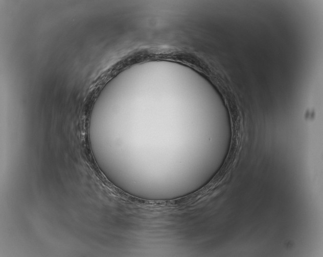 X0000110761301200906150920