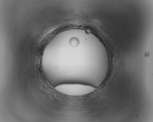 X0000110761302200906150920