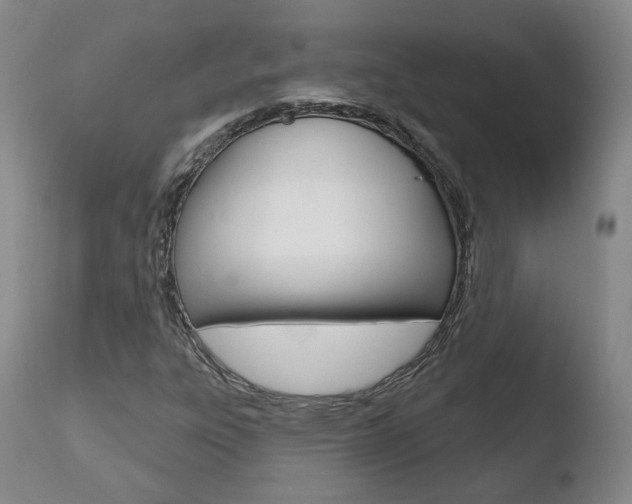 X0000110761303200906150920