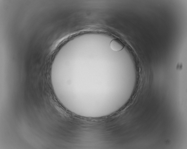X0000110761304200906150920