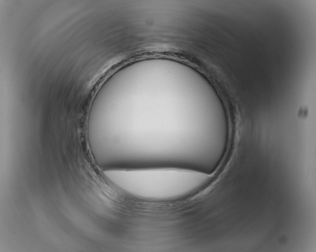 X0000110761305200906150920