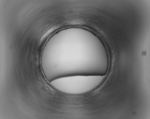 X0000110761306200906150920