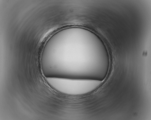 X0000110761307200906150920
