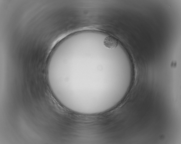 X0000110761308200906150920