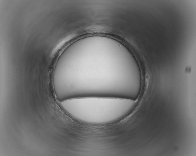 X0000110761309200906150920