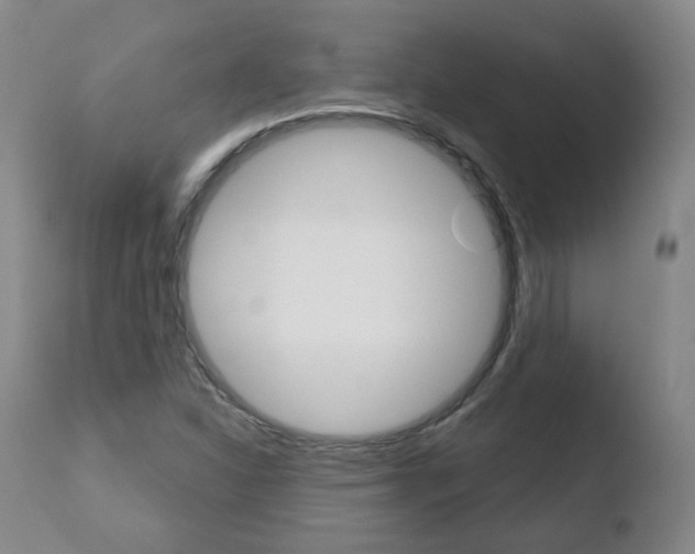 X0000110761310200906150920