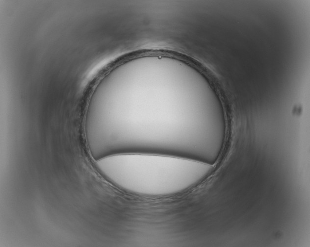 X0000110761311200906150920