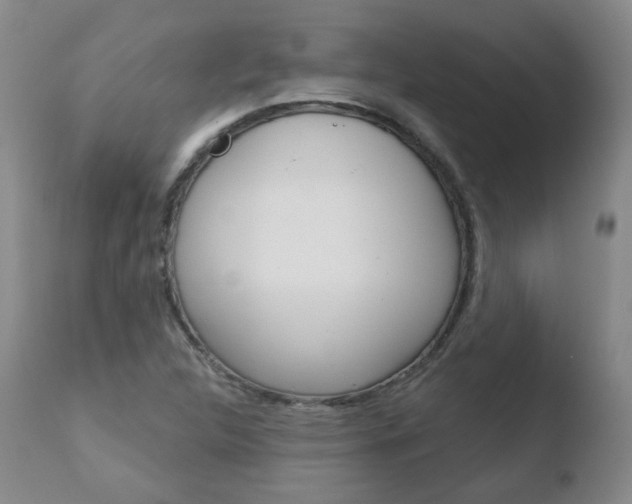 X0000110761312200906150920