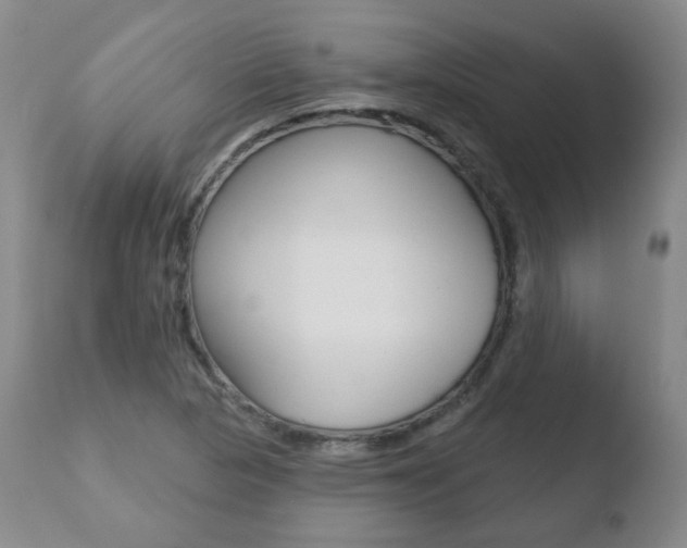 X0000110761313200906150920