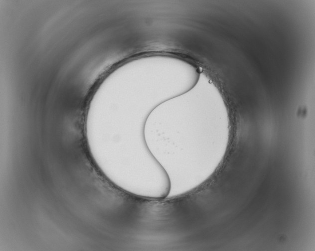 X0000110761314200906150920