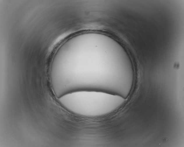 X0000110761315200906150920
