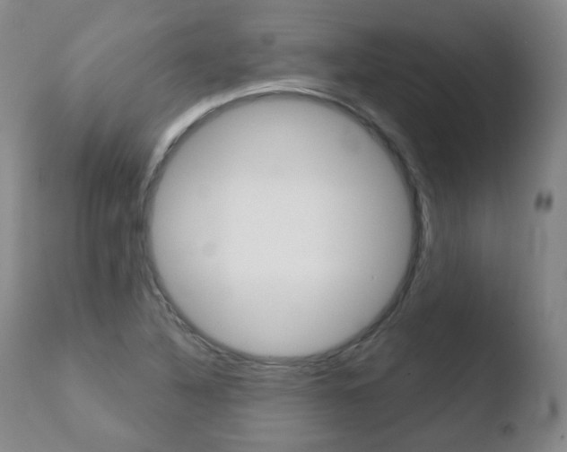 X0000110761316200906150920