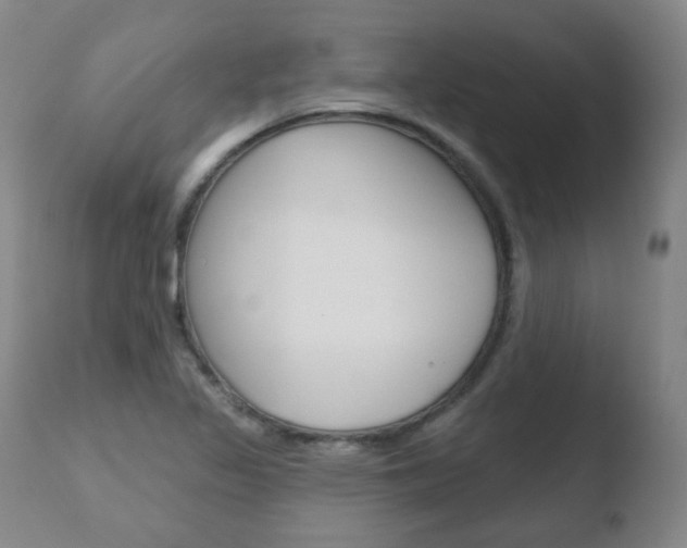 X0000110761317200906150920