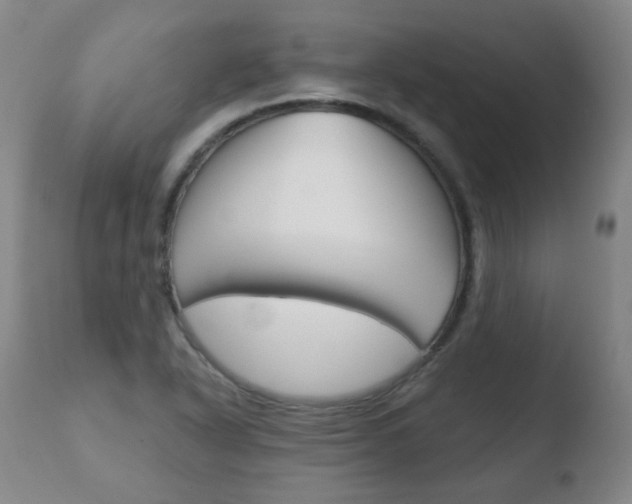 X0000110761318200906150920
