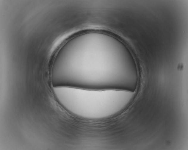 X0000110761319200906150920