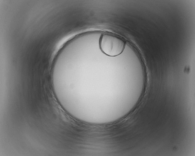 X0000110761320200906150920