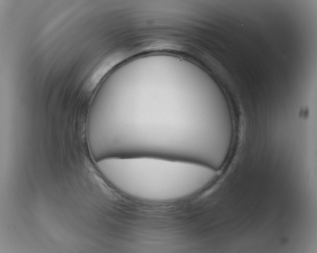 X0000110761321200906150920