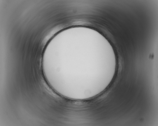 X0000110761322200906150920