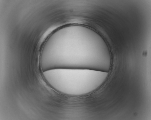 X0000110761323200906150920