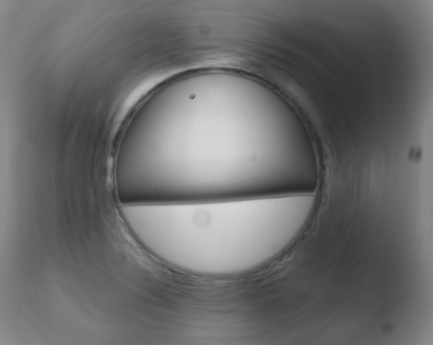 X0000110761324200906150920