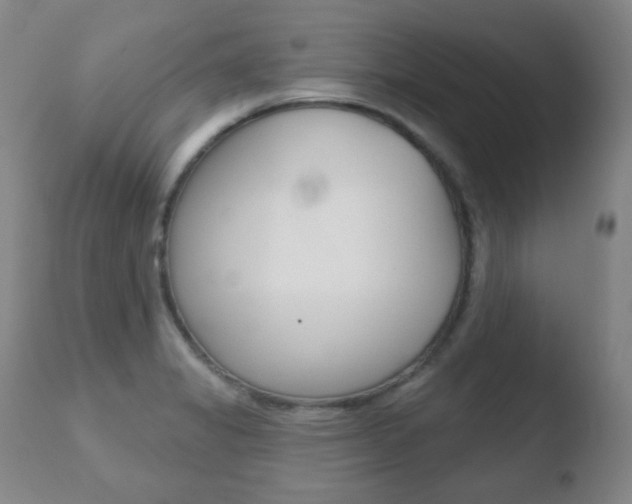 X0000110761325200906150920