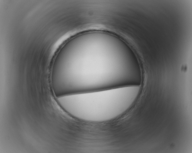 X0000110761326200906150920