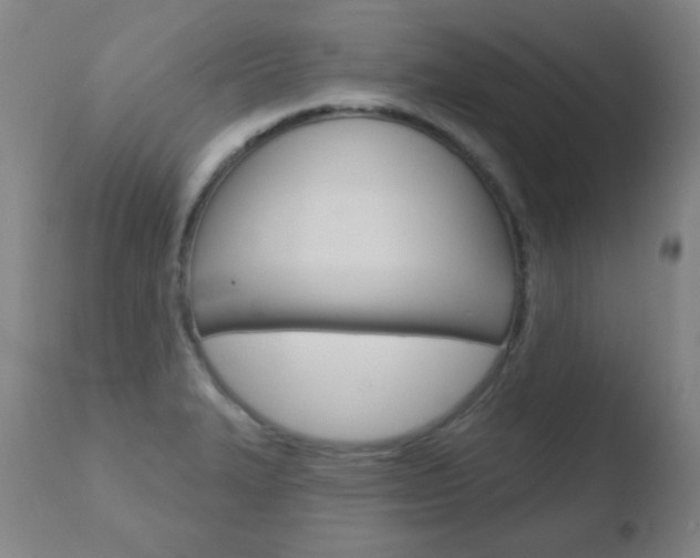 X0000110761327200906150920