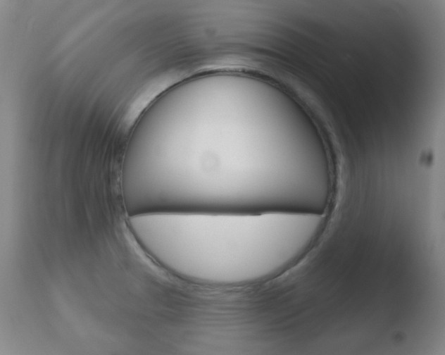 X0000110761329200906150920