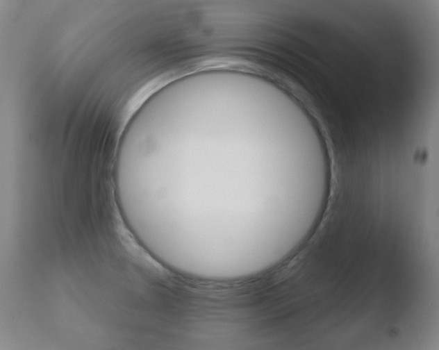 X0000110761330200906150920