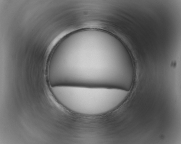 X0000110761331200906150920