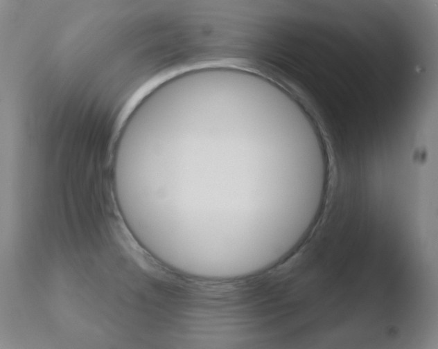 X0000110761332200906150920