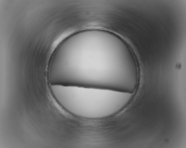 X0000110761333200906150920