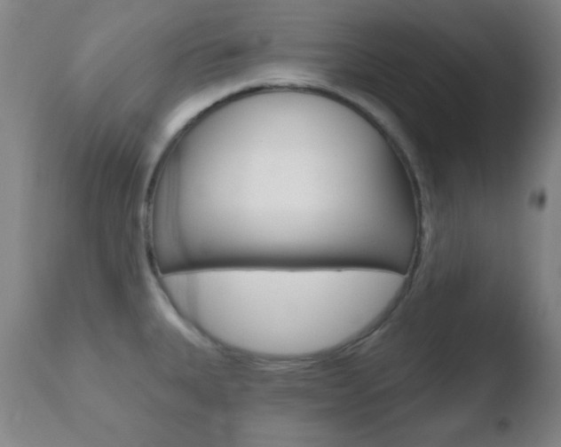 X0000110761335200906150920