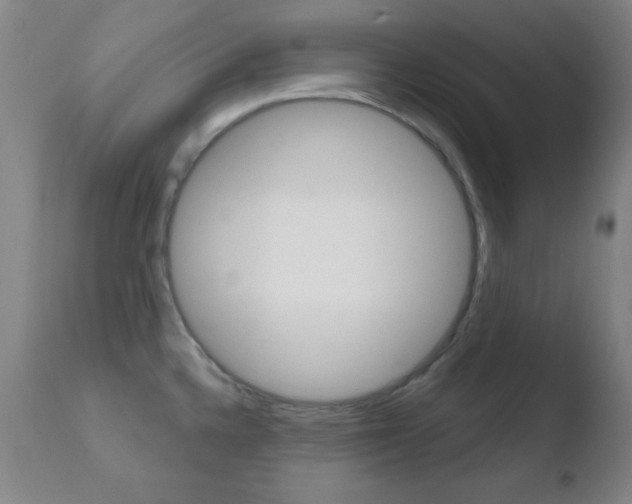 X0000110761336200906150920