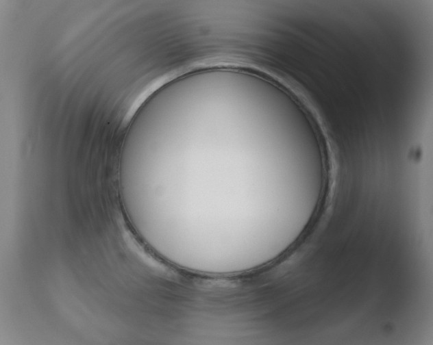 X0000110761337200906150920