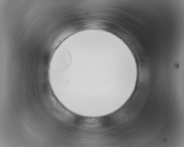 X0000110761338200906150921