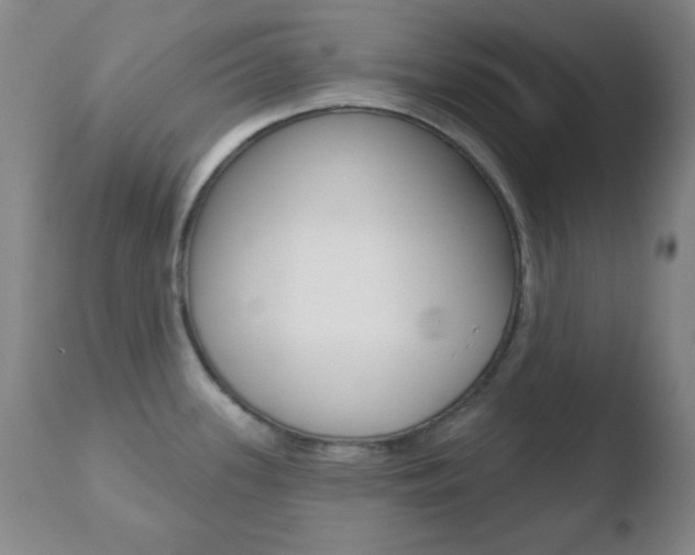 X0000110761339200906150921