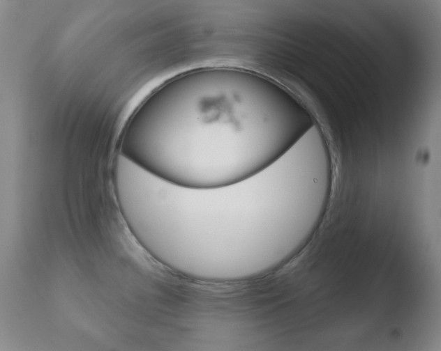 X0000110761340200906150921