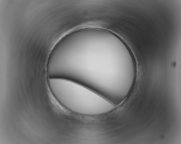 X0000110761341200906150921