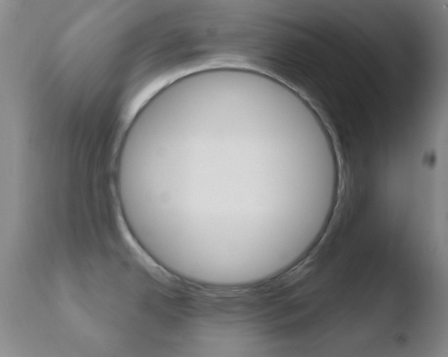 X0000110761342200906150921