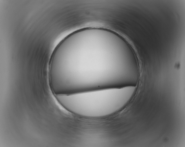 X0000110761343200906150921