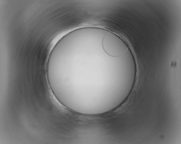 X0000110761344200906150921